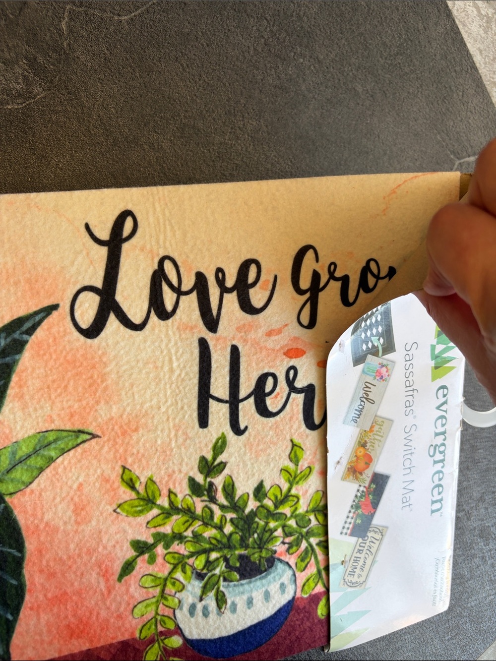 Evergreen Green Potted Plants Doormat - Love Grows Here - Picture 3 of 5